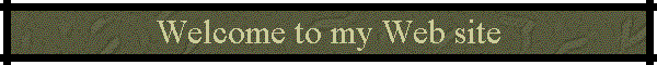 Welcome to my Web site